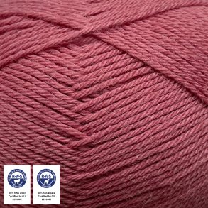 Lvfald - Stvet Rosa (1458)