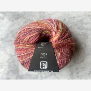 Footprints - 1115.0010