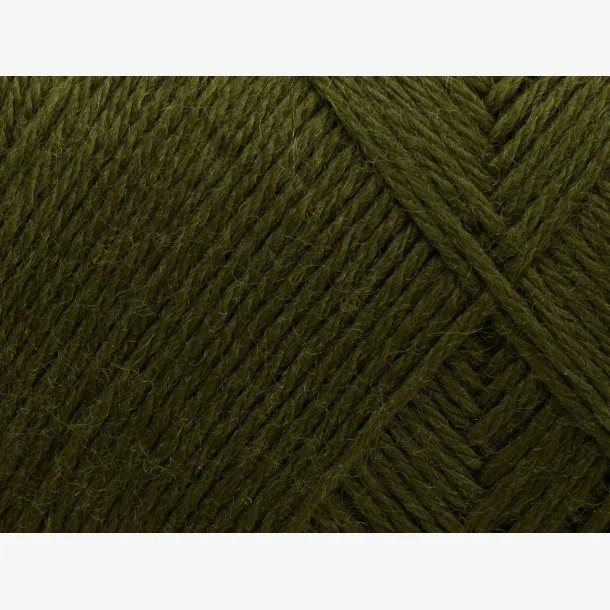 Arwetta - Deep Olive (148)
