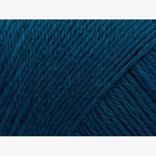 Arwetta - Teal (202)