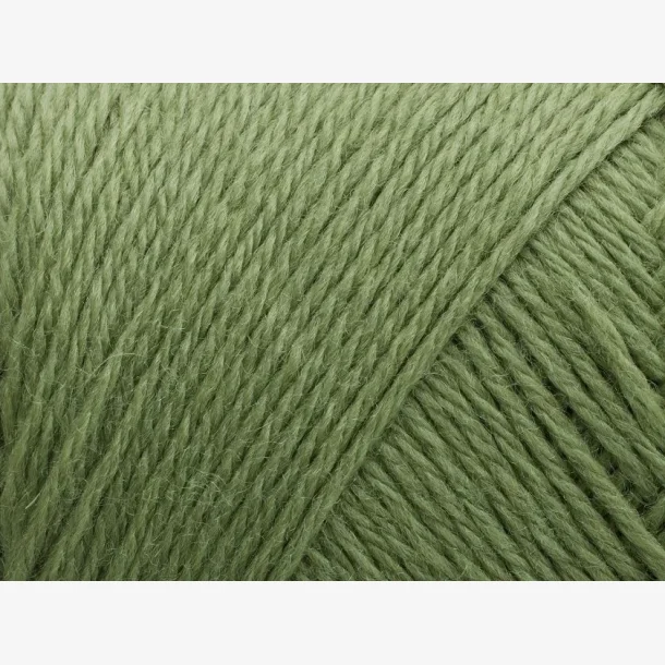 Arwetta - Basswood Green (243)