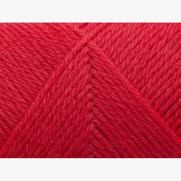 Arwetta - Power Pink (253)