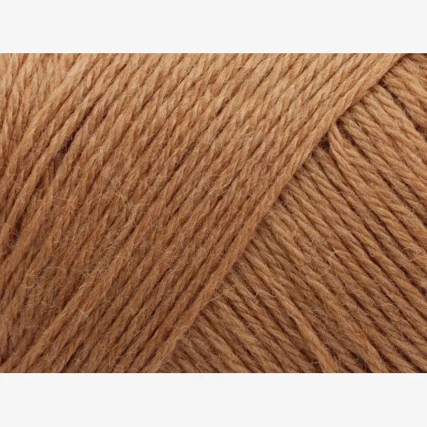 Arwetta - Caramel (363)