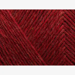 Arwetta - Chrysanthemum Melange (810)