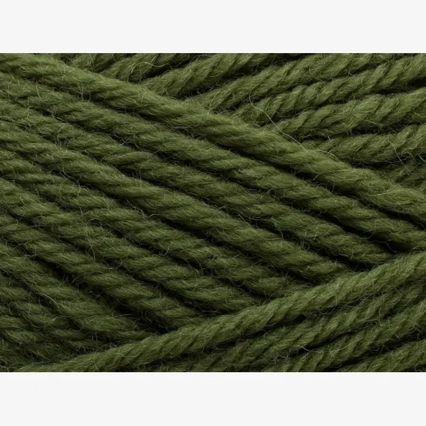 Peruvian Highland Wool - Thyme (221)