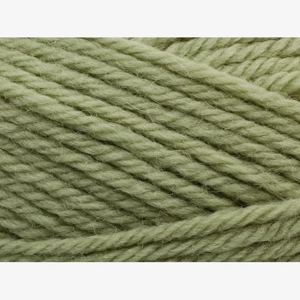 Peruvian Highland Wool - Green Tea (355)