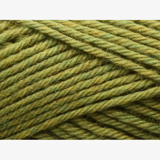 Peruvian Highland Wool - Avocado Melange (809)