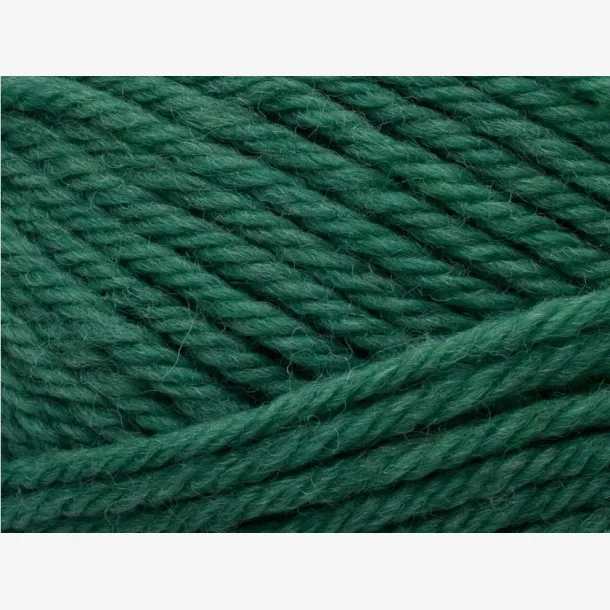 Peruvian Highland Wool - Emerald (834)