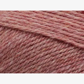 Pernilla - Ranunculus Melange (830)