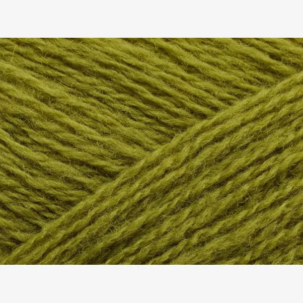 Saga - Sorrel (210)